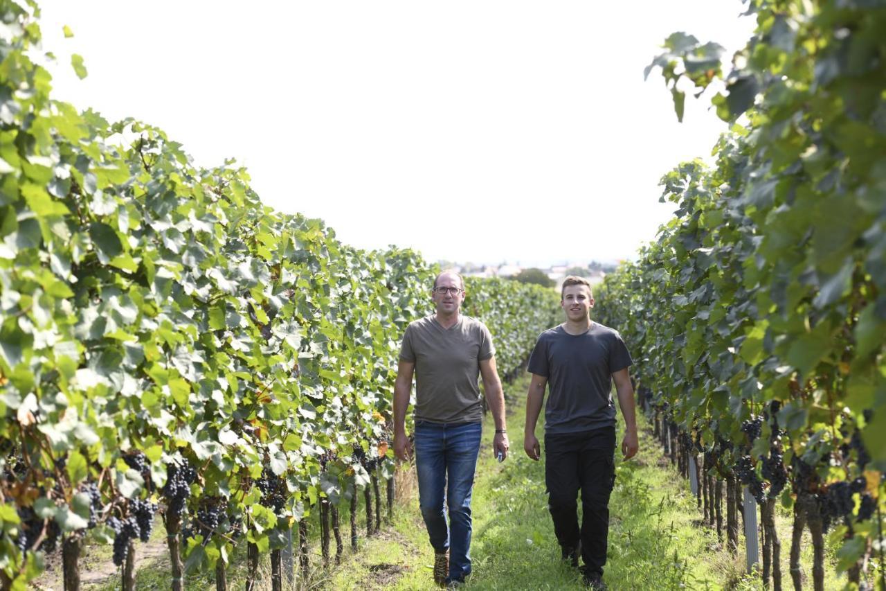 Winzerhof Kiss Hotel Jois Eksteriør billede